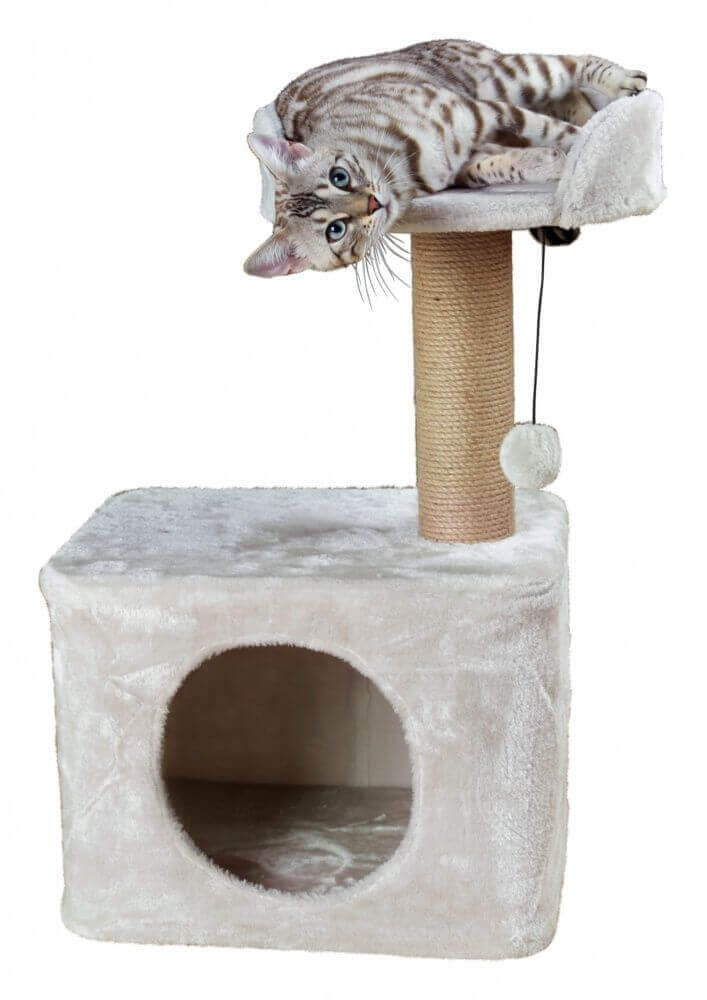 Product Img