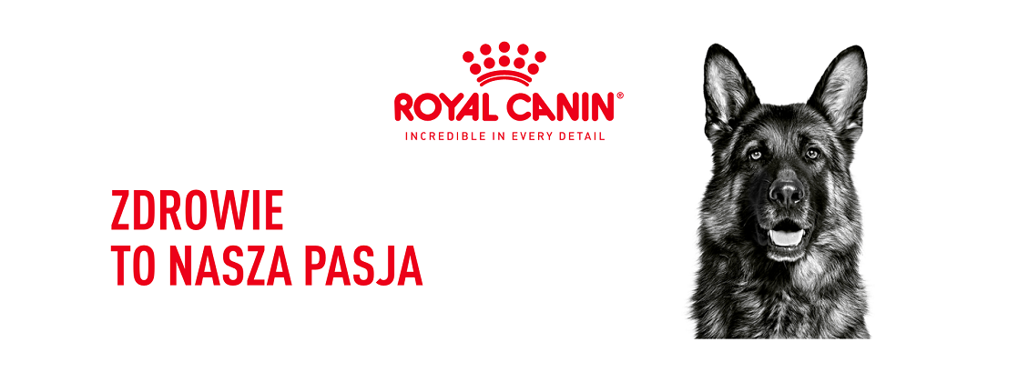 ROYAL CANIN Maxi Adult 5+ karma sucha dla psów starszych, od 5 do 8 roku życia, ras dużych