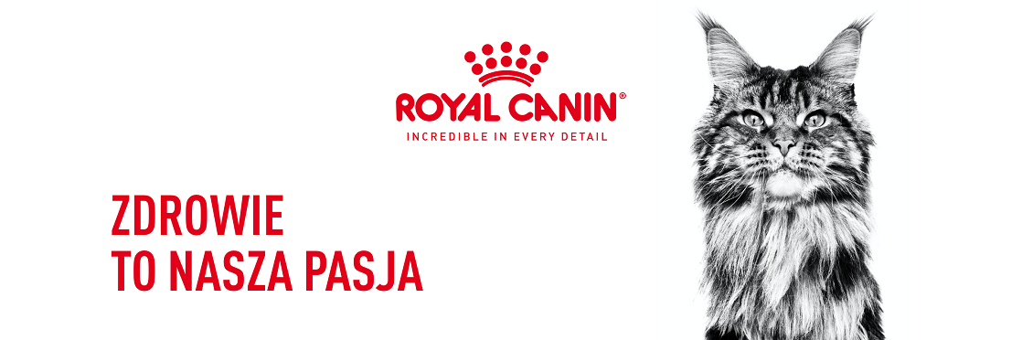 Royal Canin karma dla kotów perskich