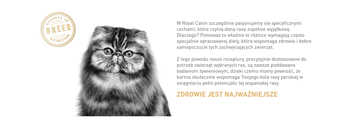 Royal Canin karma dla kotów perskich
