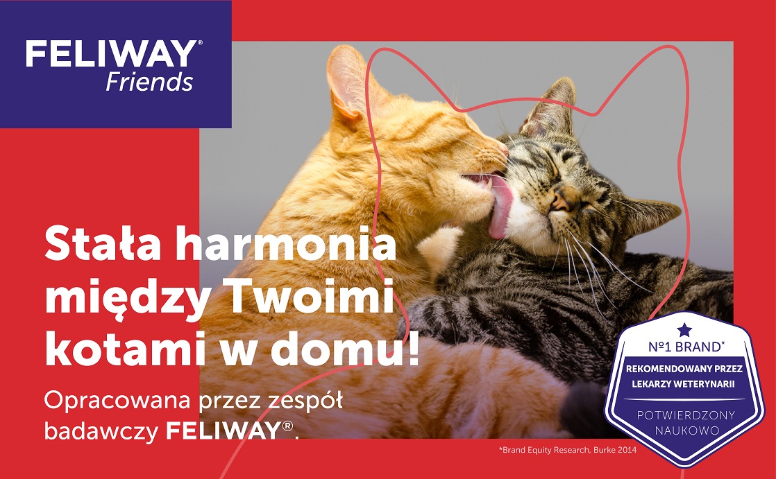 FELIWAY Friends Dyfuzor + Wkład feromony na konflikty między kotami