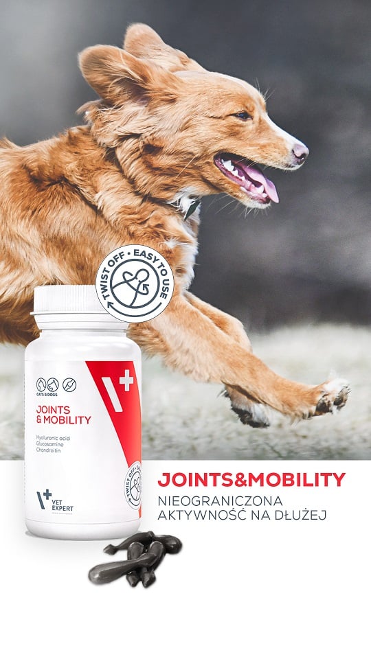 VET EXPERT Joints&Mobility Stawy i Mobilność Suplement diety dla psa i kota 30 kapsułek