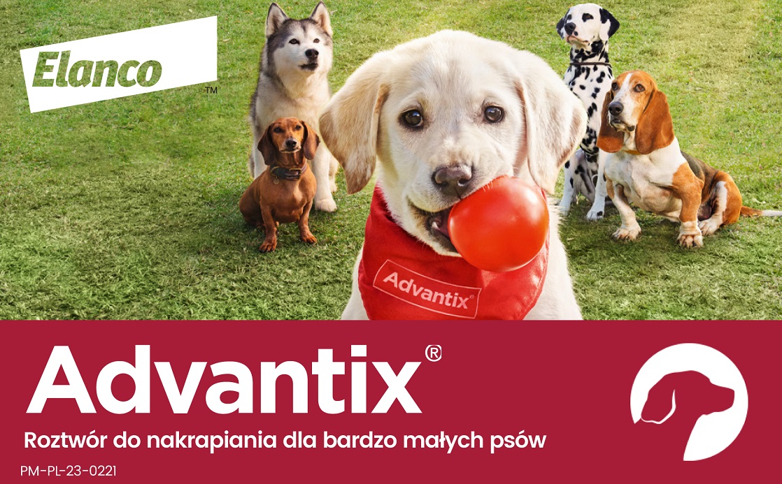 BAYER ADVANTIX Roztwór do nakrapiania dla psów do 4 kg (1 x 0,4 ml)
