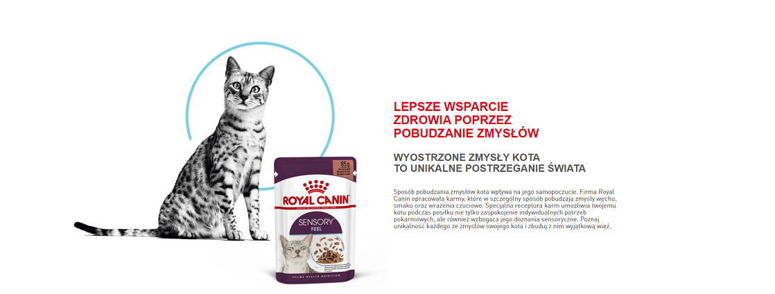 ROYAL CANIN Sensory Feel gravy kawałki w sosie dla kotów dorosłych pobudzające percepcje tekstur