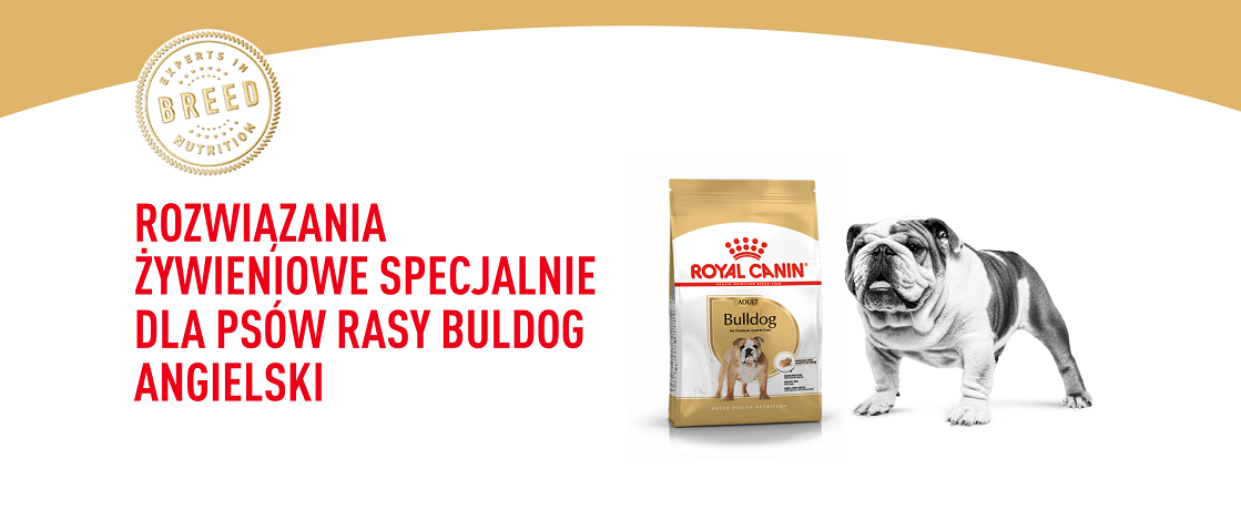 ROYAL CANIN Bulldog Adult karma sucha dla psów dorosłych rasy bulldog 12 kg