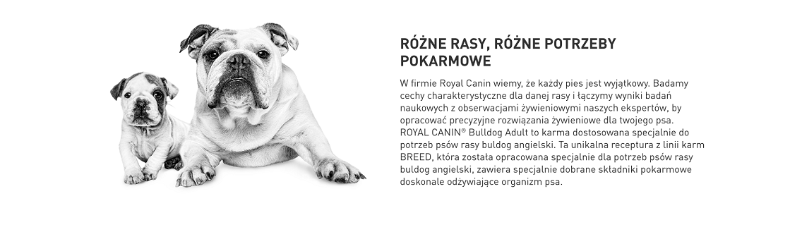 ROYAL CANIN Bulldog Adult karma sucha dla psów dorosłych rasy bulldog 12 kg
