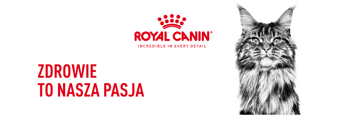 ROYAL CANIN Indoor 27 10 kg karma sucha dla kotów dorosłych, przebywających wyłącznie w domu