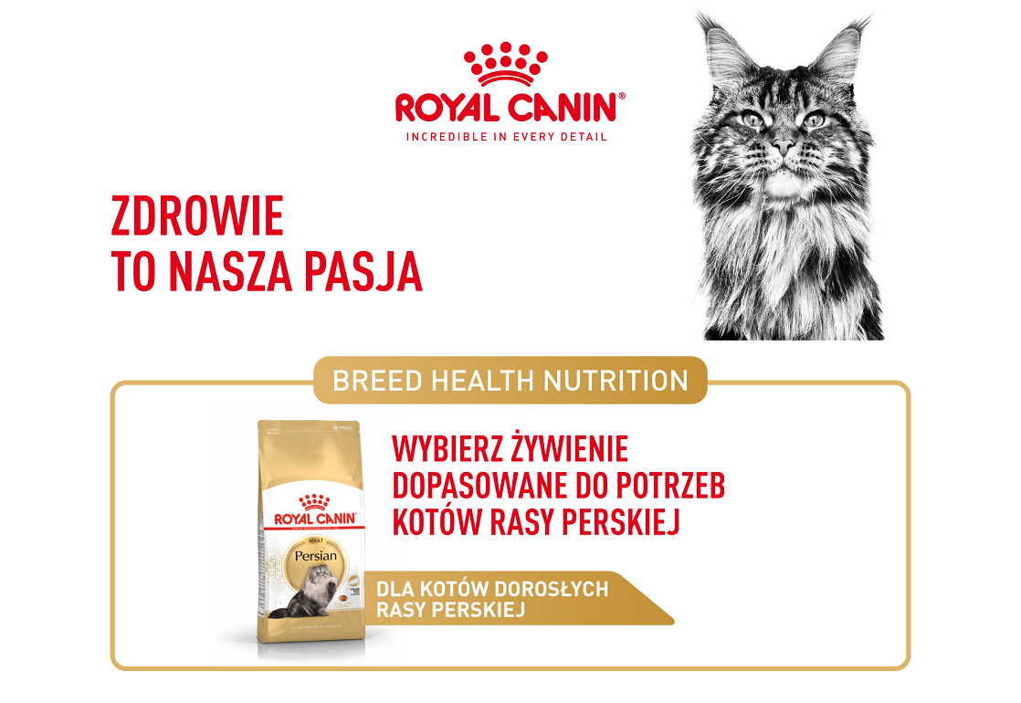 ROYAL CANIN Persian Adult 10 kg karma sucha dla kotów dorosłych rasy perskiej