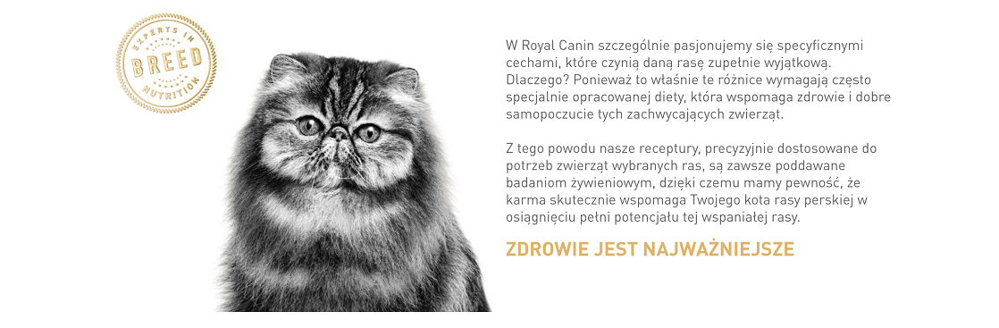 ROYAL CANIN Persian Adult 10 kg karma sucha dla kotów dorosłych rasy perskiej