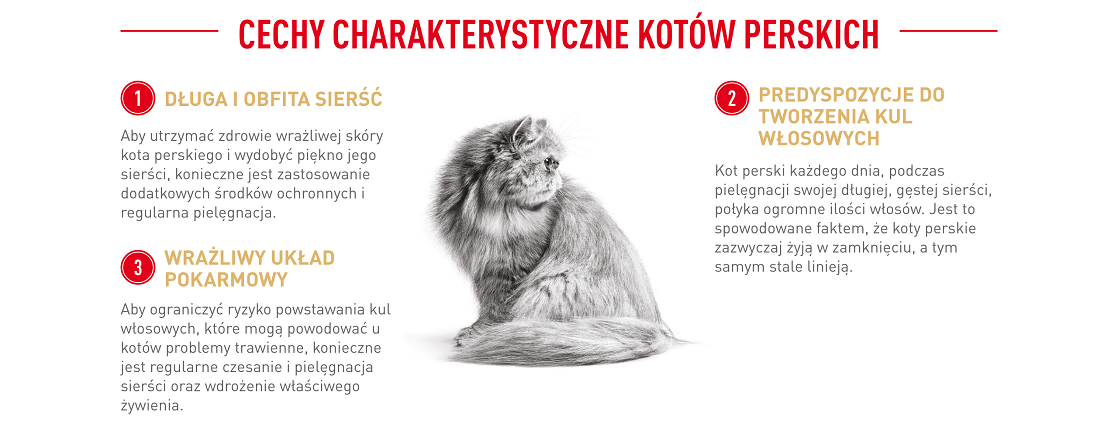 ROYAL CANIN Persian Adult 10 kg karma sucha dla kotów dorosłych rasy perskiej