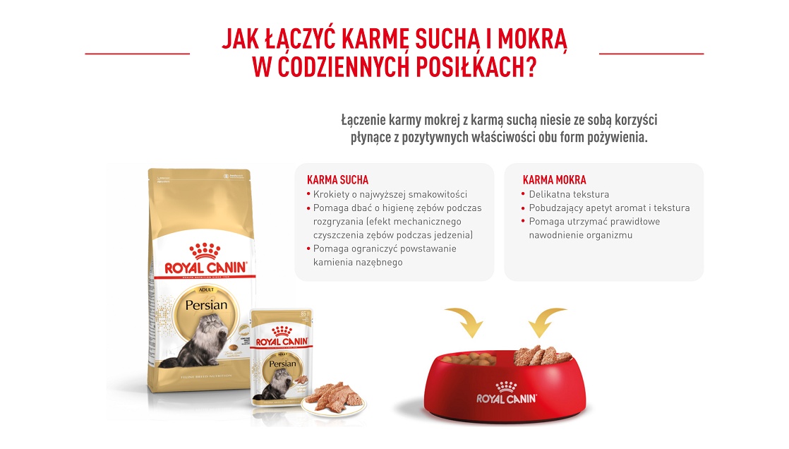 ROYAL CANIN Persian Adult 10 kg karma sucha dla kotów dorosłych rasy perskiej