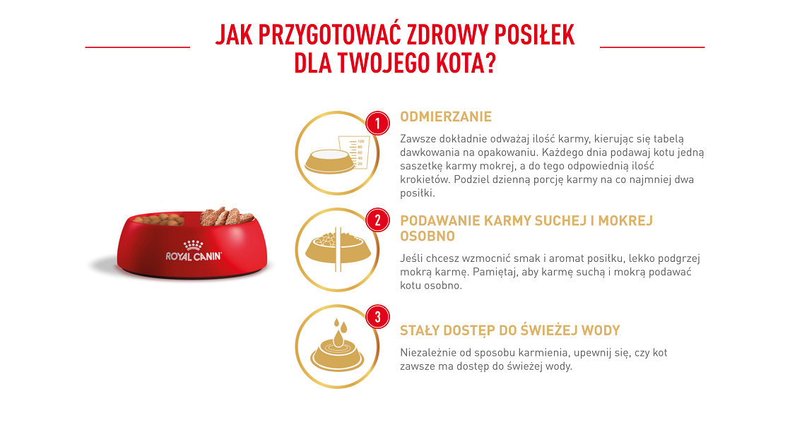 ROYAL CANIN Persian Adult 10 kg karma sucha dla kotów dorosłych rasy perskiej