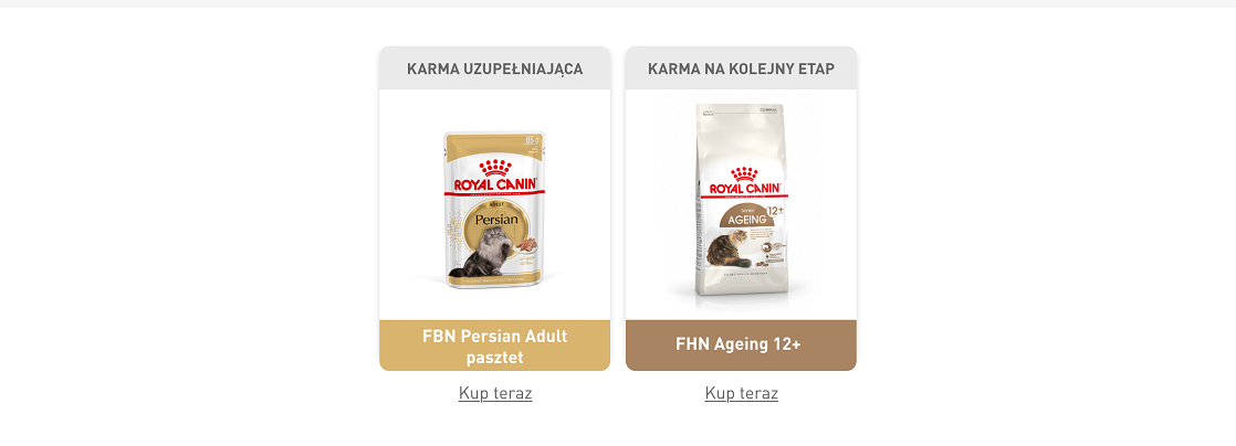 ROYAL CANIN Persian Adult 10 kg karma sucha dla kotów dorosłych rasy perskiej