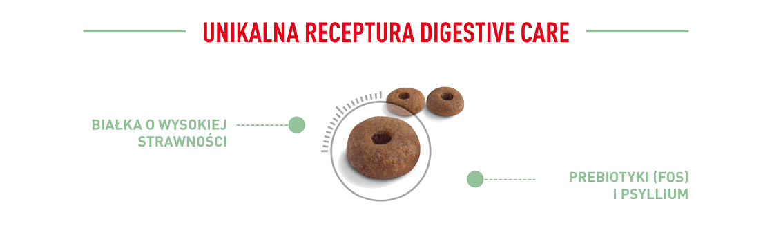 ROYAL CANIN Digestive Care 10 kg karma sucha dla kotów dorosłych wspierająca prawidłowe trawienie