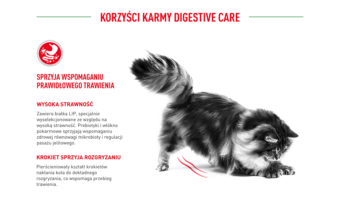 ROYAL CANIN Digestive Care 10 kg karma sucha dla kotów dorosłych wspierająca prawidłowe trawienie