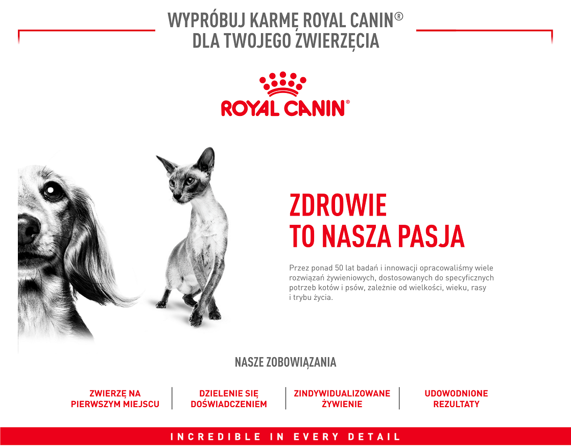 ROYAL CANIN Maxi Adult 10kg karma sucha dla psów dorosłych, do 5 roku życia, ras dużych