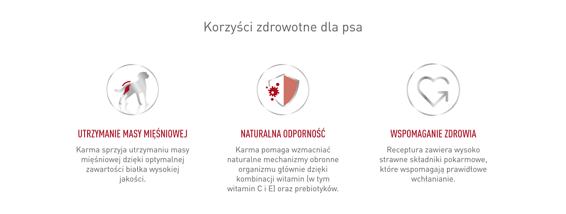 ROYAL CANIN Medium Adult 15kg karma sucha dla psów dorosłych, ras średnich