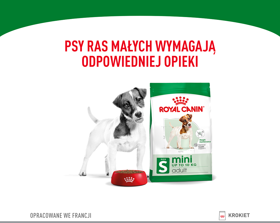 ROYAL CANIN Mini Adult 8kg karma sucha dla psów dorosłych, ras małych