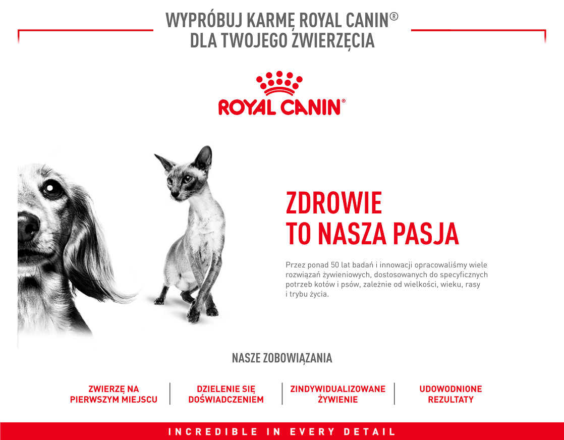 ROYAL CANIN Mini Adult 8kg karma sucha dla psów dorosłych, ras małych