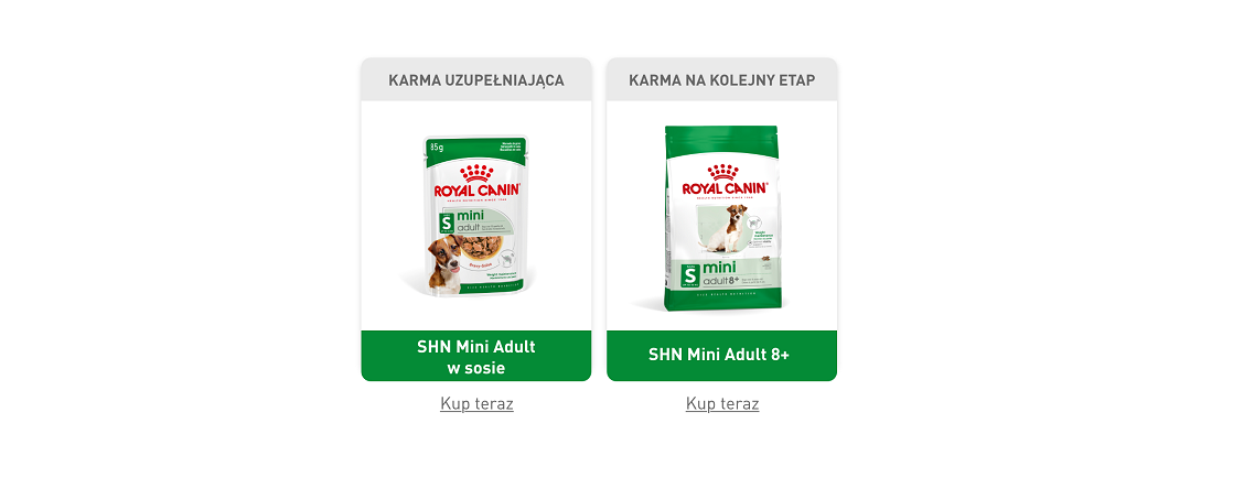 ROYAL CANIN Mini Adult 8kg karma sucha dla psów dorosłych, ras małych