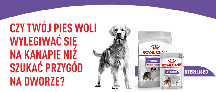 ROYAL CANIN CCN Medium Sterilised 3 kg karma sucha dla psów dorosłych, ras średnich, sterylizowanych