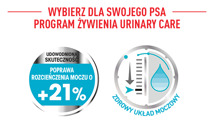 ROYAL CANIN CCN Mini Urinary Care karma sucha dla psów dorosłych, ras małych, ochrona dolnych dróg moczowych 1 kg