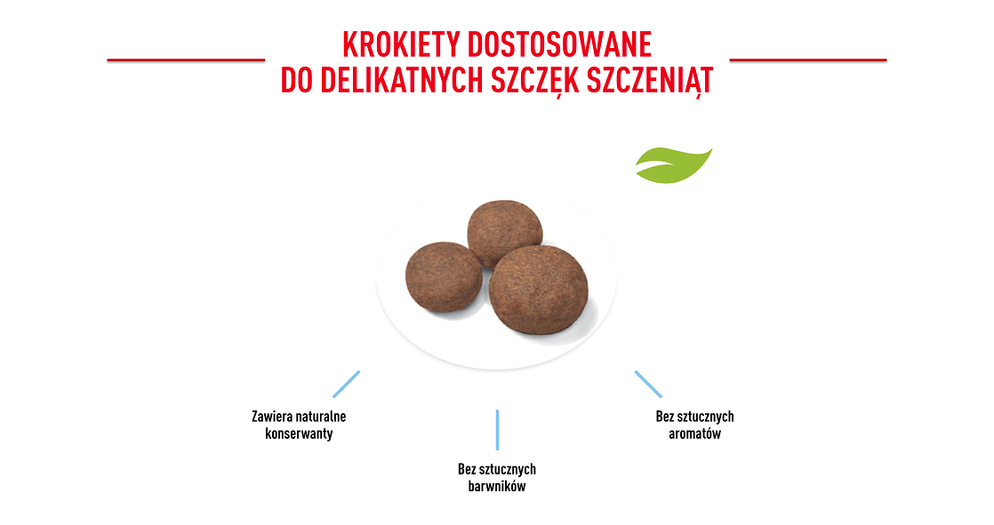 ROYAL CANIN Medium Puppy 1 kg 