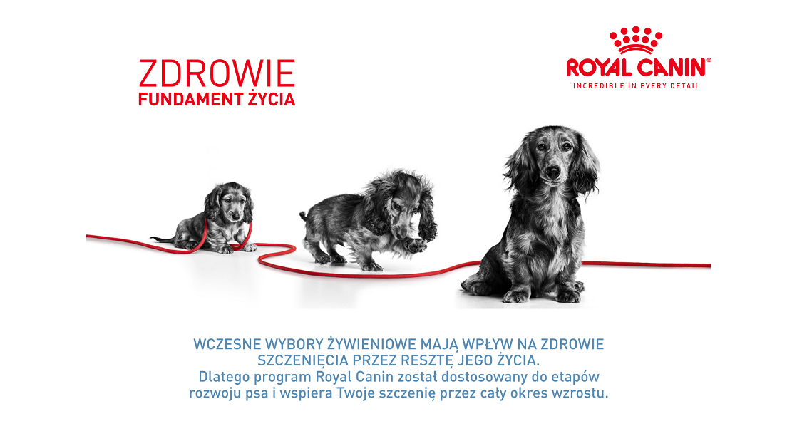 ROYAL CANIN Mini puppy 85 g 