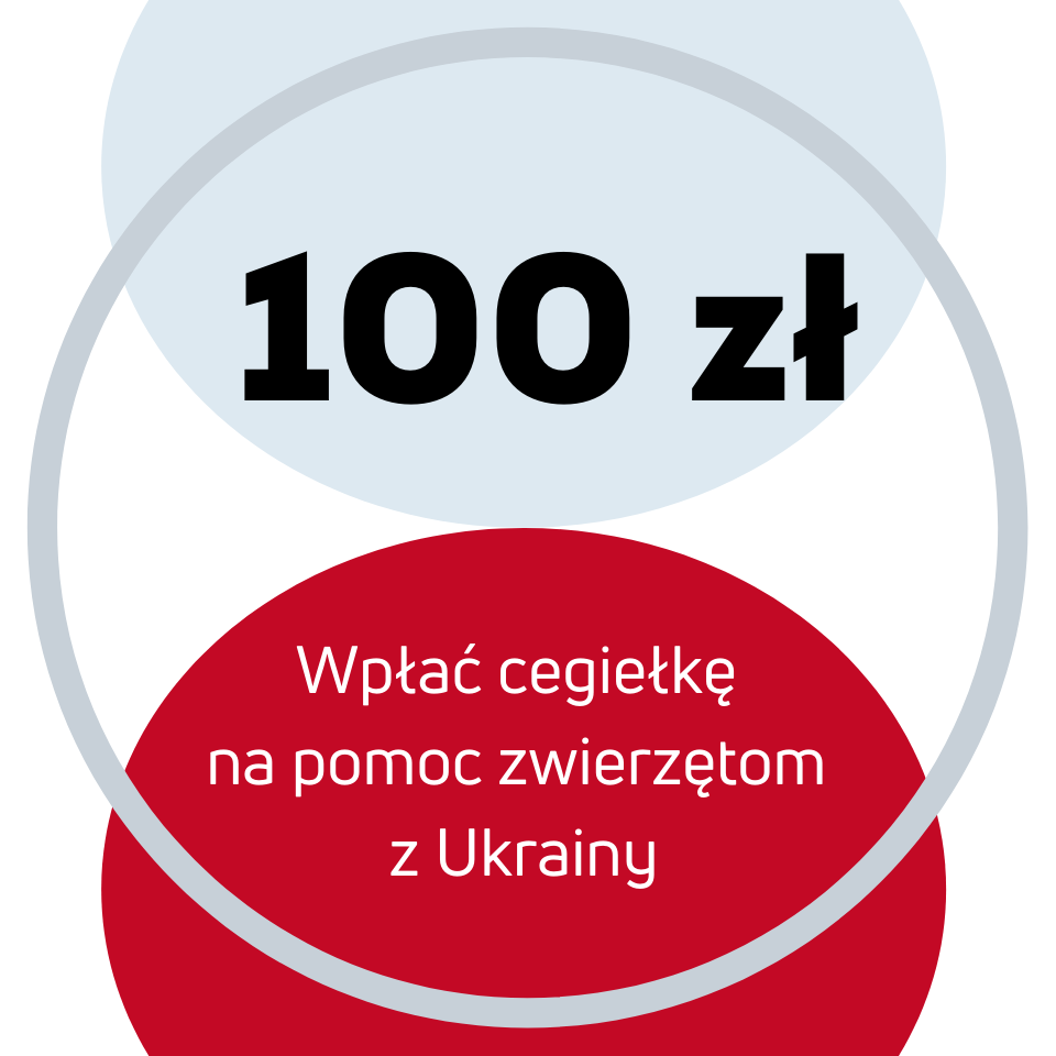 Cegiełka na wsparcie Ukrainy 100 zł.