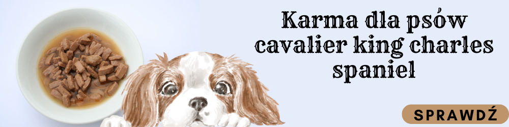 Zobacz karmę dedykowaną dla psów rasy Cavalier King Charles Spaniel