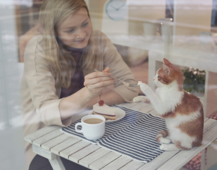 Kobieta w kawiarni z kotami.