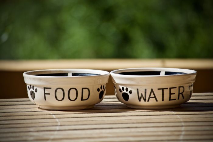 Miski ceramiczne dla psa na karmę i wodę.