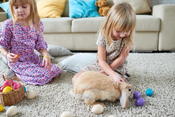 Dzieci bawią się z królikiem na dywanie.