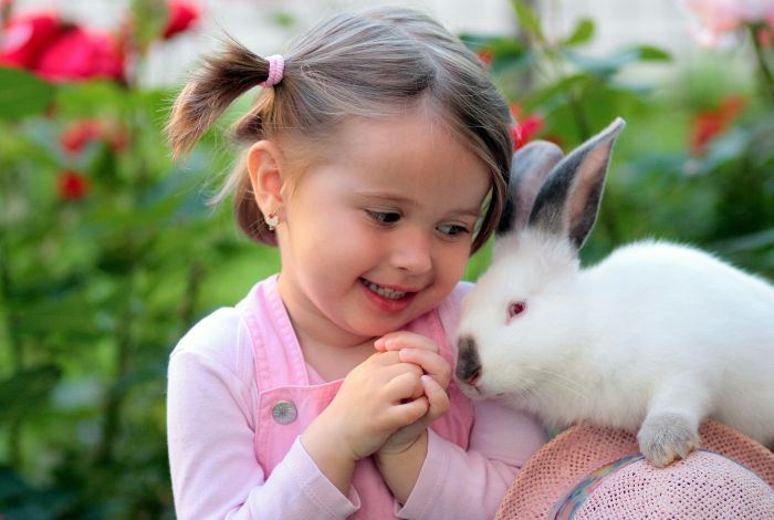 Dziewczynka zachwyca się królikiem miniaturką.