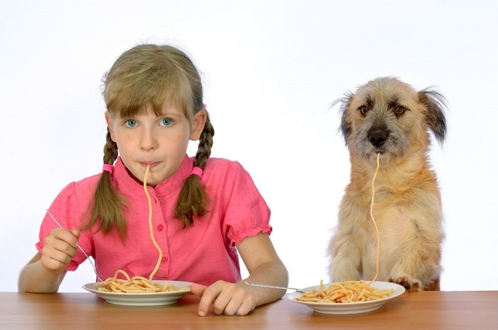 Dziewczynka i pies jedzą makaron.
