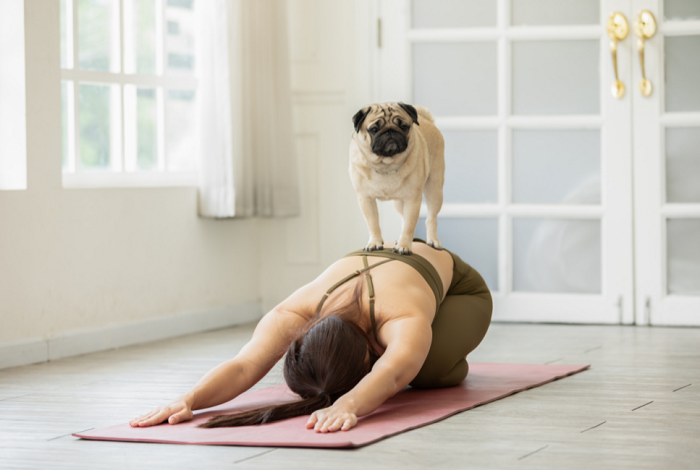 Puppy joga.