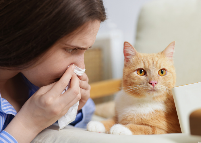 Ślinotok u kota: najczęstsze przyczyny i objawy. Co robić?