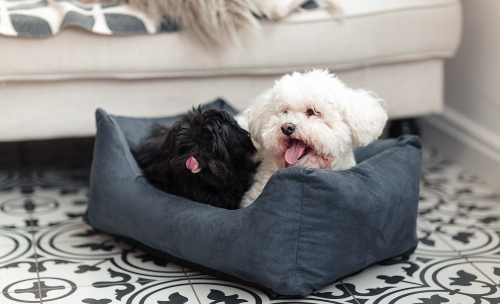 Sofa pelíšek pro psy
