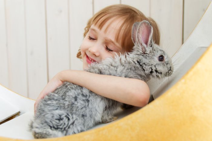 Dziewczynka przytula się do królika.