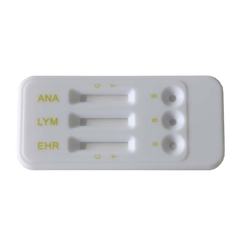SELFLAB Test diagnostyczny Anaplasma/Lyme/Ehrlichia Combo