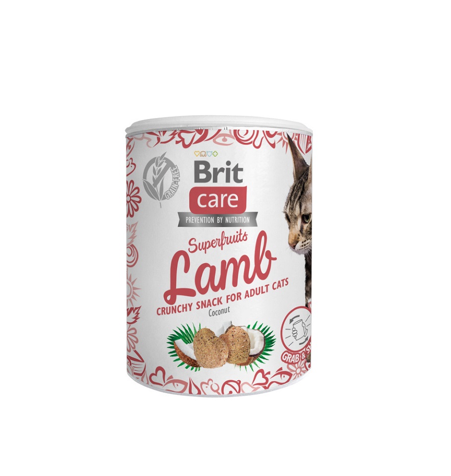 Zdjęcia - Karma dla kotów Brit Care Cat Snack Superfruits lamb dla dorosłych kotów 100 g 