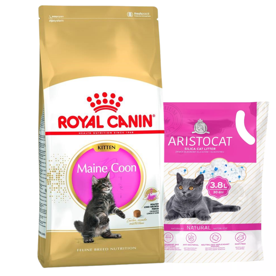 ROYAL CANIN Maine Coon Kitten 10 kg + ARISTOCAT Żwirek silikonowy PREMIUM 3.8 l GRATIS