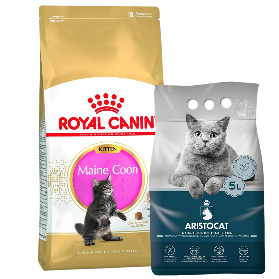 ROYAL CANIN Maine Coon Kitten 10 kg + ARISTOCAT Żwirek bentonitowy naturalny 5 l GRATIS