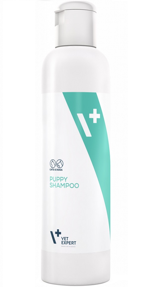 Фото - Інші зоотовари VetExpert VET EXPERT Puppy shampoo szampon dla szczeniąt i kociąt 250 ml 