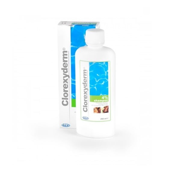 Фото - Косметика для собаки GEULINCX Clorexyderm Shampoo 4 250ml skoncentrowany szampon dla psów i kot
