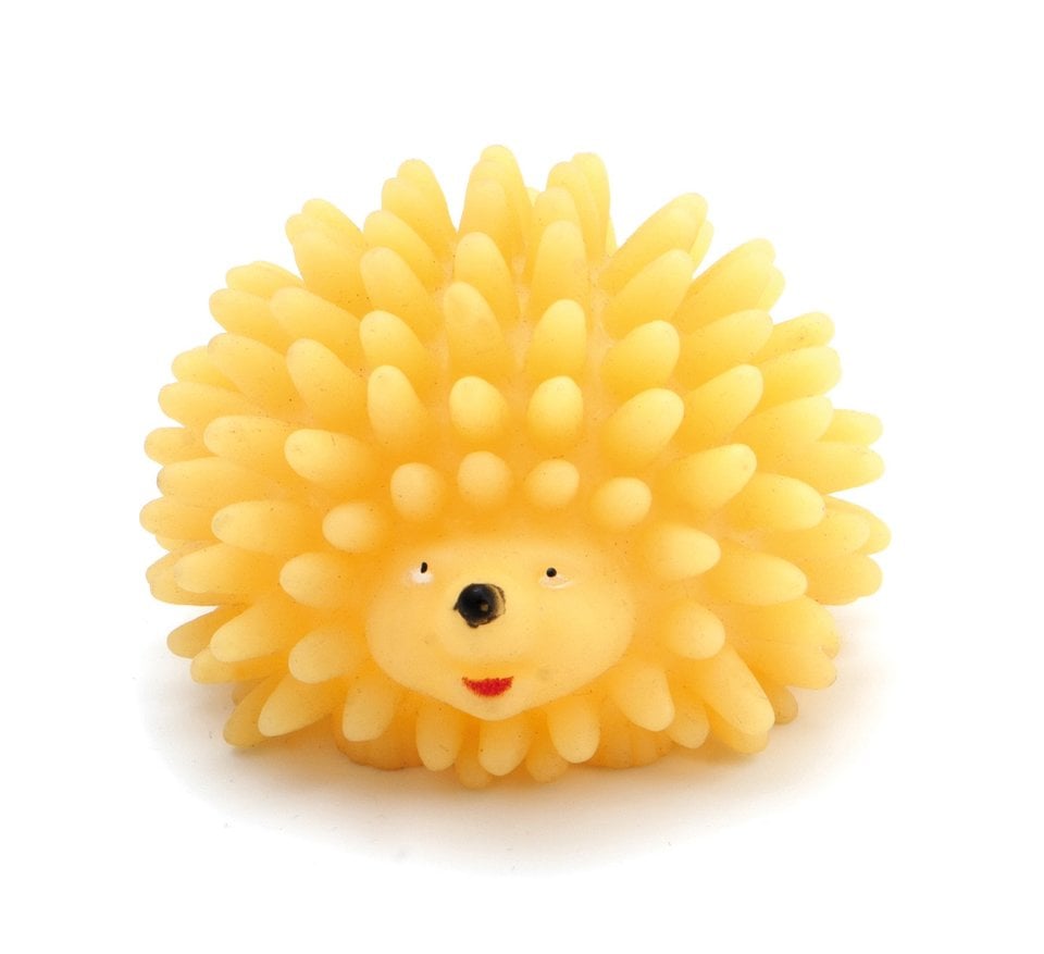 африканский карликовый еж желтый. мячик желтый ежик. желтенький ежик. белый африканский ежик. родственник ежика.