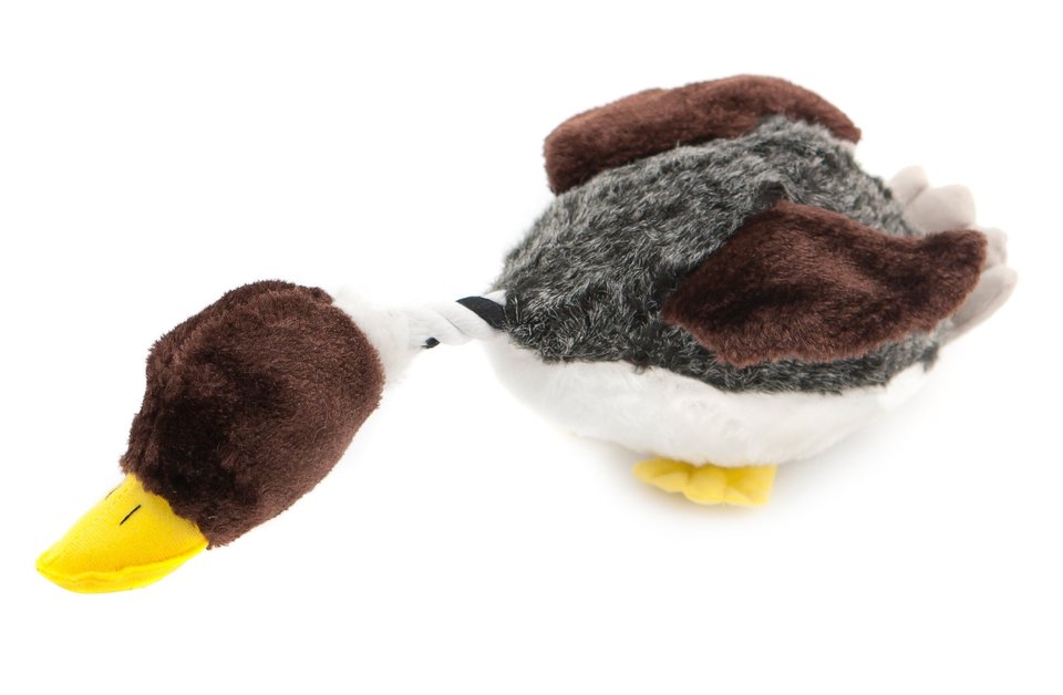 Сириус утка. Крякающая утка игрушка. утка длинная крякающая игрушка. dogs greek duck toy.