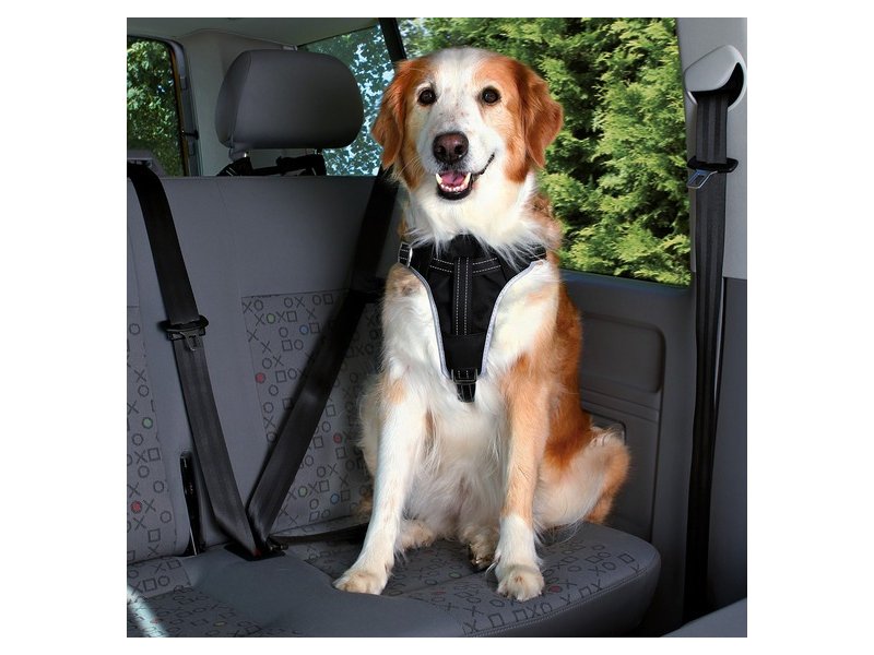 Zdjęcia - Smycz Trixie Szelki samochodowe dla psa L 65–80 cm / 25 mm 