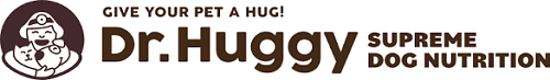 Dr Huggy logo