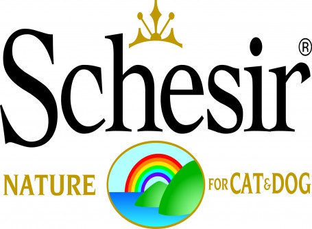 SCHESIR logo